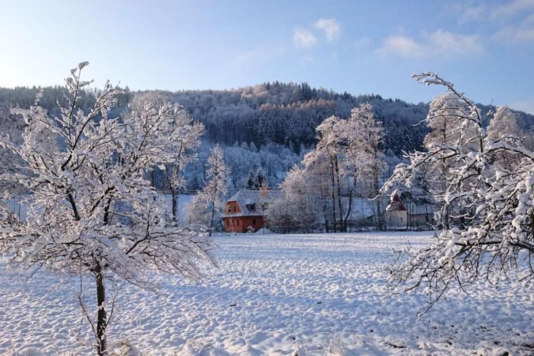 Roubenka Pod Capim Vrchem Villa Velké Losiny Dış mekan fotoğraf